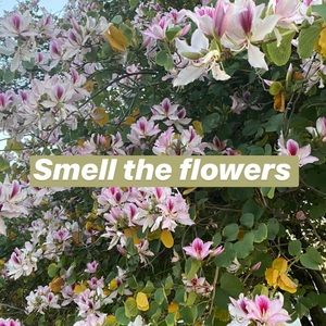 Smell the flowers 🌸
